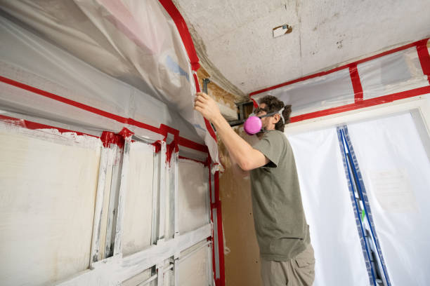 Best Airborne Mold Testing  in Attla, AL